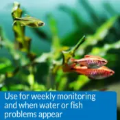 API Freshwater Master Water Test Kit