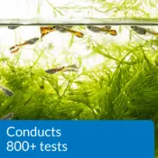 API Freshwater Master Water Test Kit Review