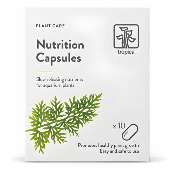 Tropica Nutrition Capsules (10 Pcs)