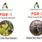 AquaVascular PGR1 & PGR2 Combo Pack