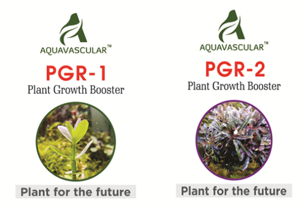 Aquvascular PGR1 and PGR2