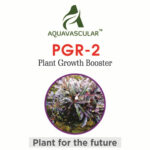 AquaVascular PGR2 30ml