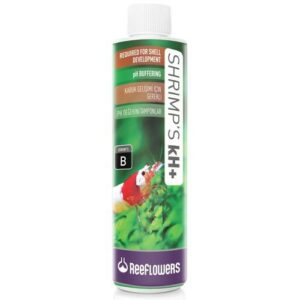 ReeFlowers Shrimps kH+ | 85ml