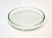 Shrimp Feeding Dish (Glass) - 10cm(L)