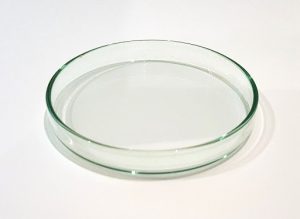 Shrimp Feeding Dish (Glass) - 10cm(L)