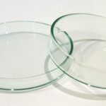 Shrimp Feeding Dish (Glass)