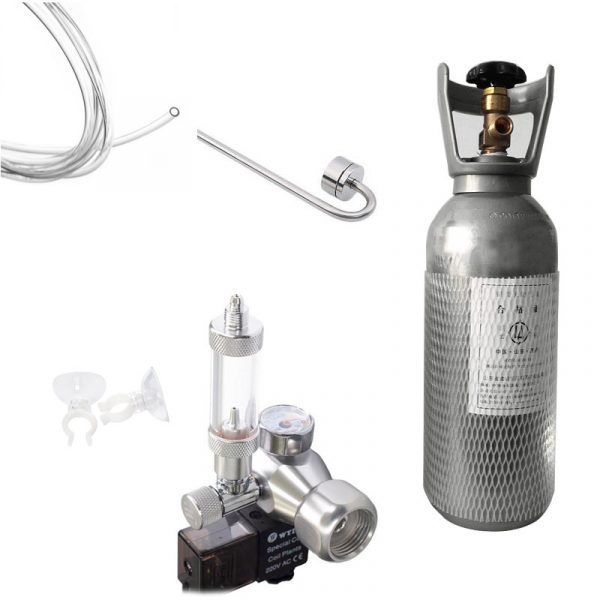 4 Ltr CO2 Cylinder Set with Wyin Single Regulator