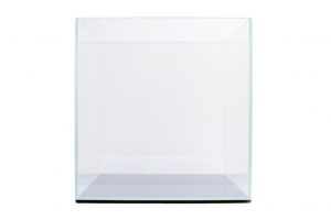 12Inch Ultra Clear Tanks