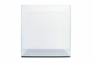 12Inch Ultra Clear Tanks