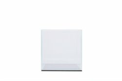8Inch Ultra Clear Tanks