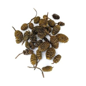 Alder Cones