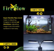 FireGlow LED