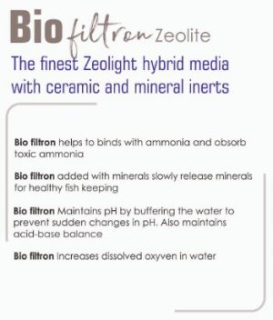 Bio filtron Zeolite Filter Media