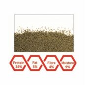 WA Goldfish Grandeur Pellets 500ml – 200g