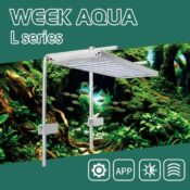 WEEK AQUA L PRO Back Mount