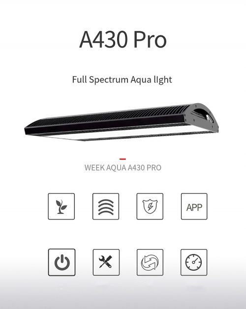WEEK Aqua A430 Pro LED Black
