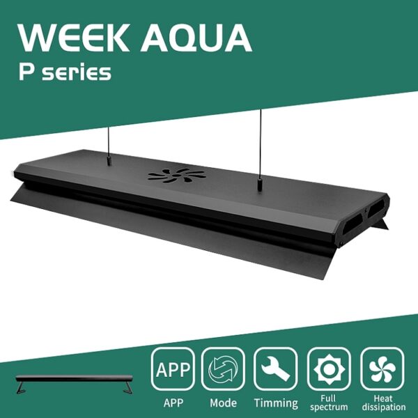 WEEK AQUA P Pro Series