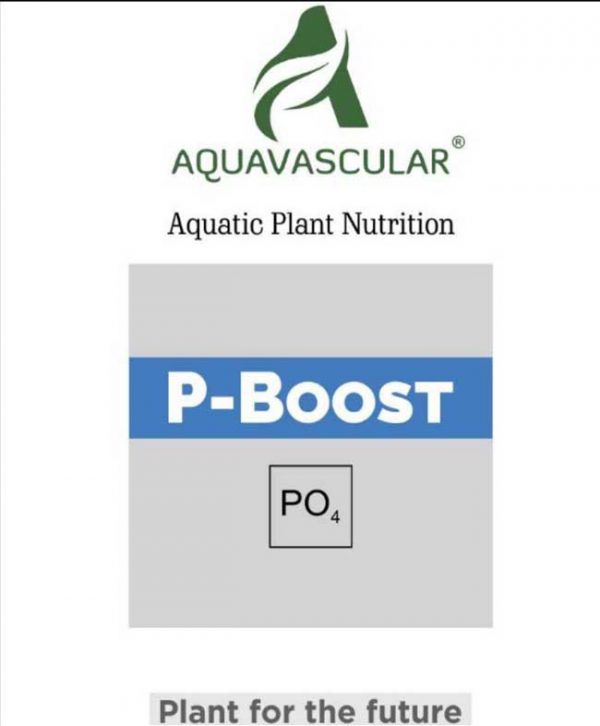 AquaVascular Phosphorus P Boost