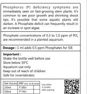 AquaVascular Phosphorus P Boost