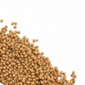 BUGS IN Goldfish Formula Food 5 510x510 1