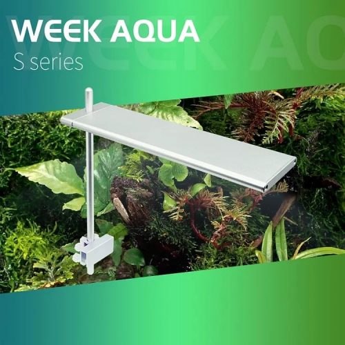 WEEK AQUA S Series wRGB Light