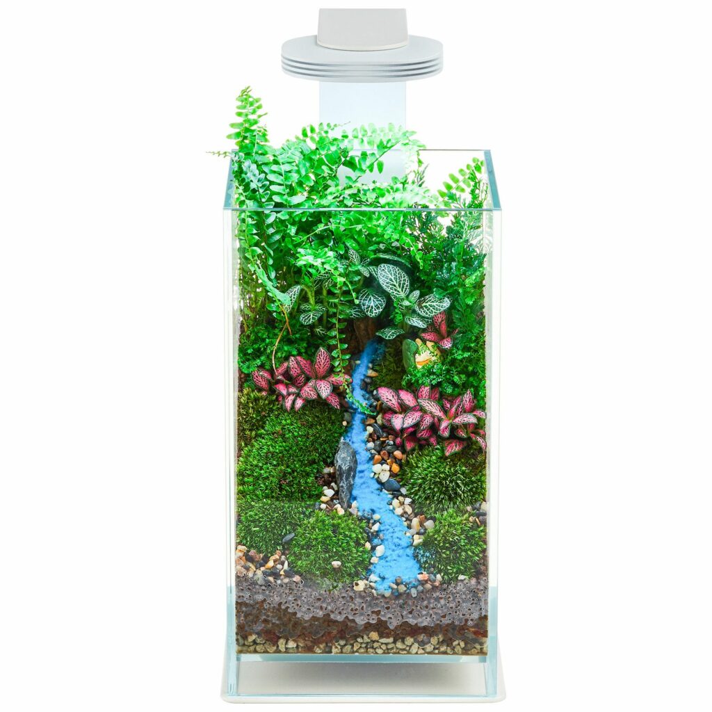 Terrariums Aqua Zones