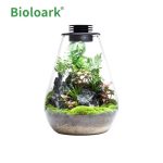 BIOLOARK Bio Bottle SD-175 Tear Drop Terrarium