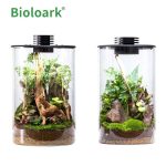 BIOLOARK Bio Bottle Terrarium ZD