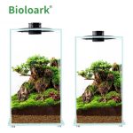 BIOLOARK Bio Bottle Enclosed Terrarium FD