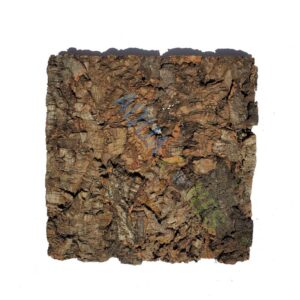 Coir