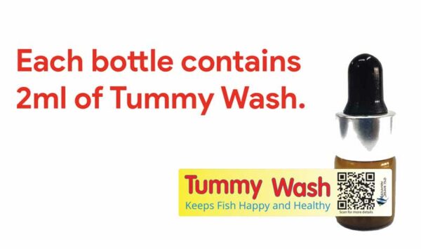 TummyWash SWA 2