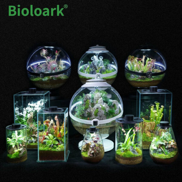 BIOLOARK Bio Bottle Terrarium | ZD-150 / ZD-200