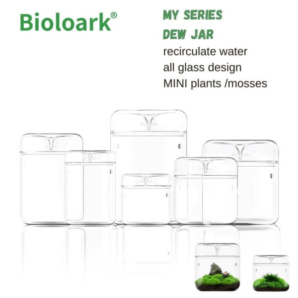 bioloark dew glass cup micro terrarium my series 6368f49cdf944