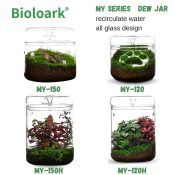 bioloark dew glass cup micro terrarium my series 6368f49d860ca
