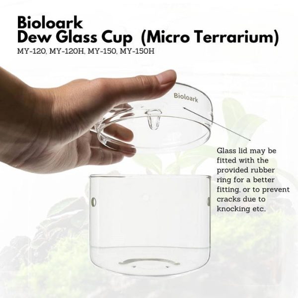 bioloark dew glass cup micro terrarium my series 6368f49ea08f4