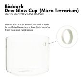 bioloark dew glass cup micro terrarium my series 6368f49ecaff5