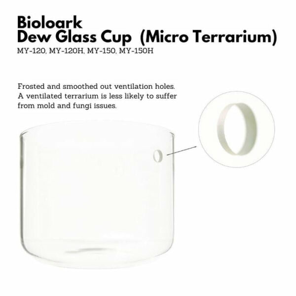 bioloark dew glass cup micro terrarium my series 6368f49ecaff5