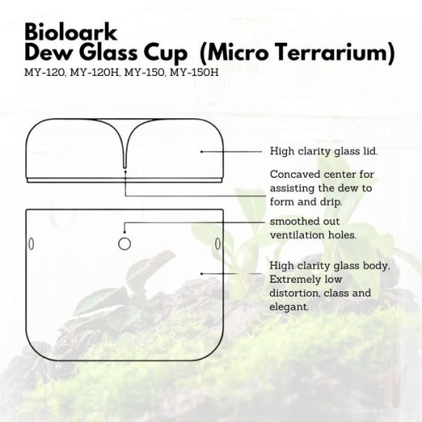 bioloark dew glass cup micro terrarium my series 6368f49f3dde8