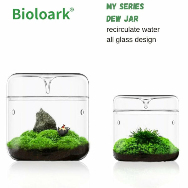 BIOLOARK Luji Glass Cup