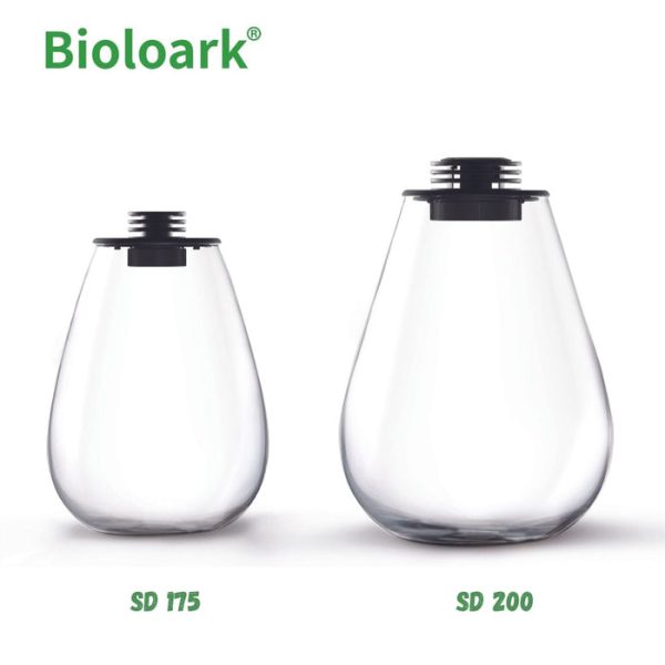 bioloark tear drop terrarium sd 175 sd 200 1 review 6368f47a6079e