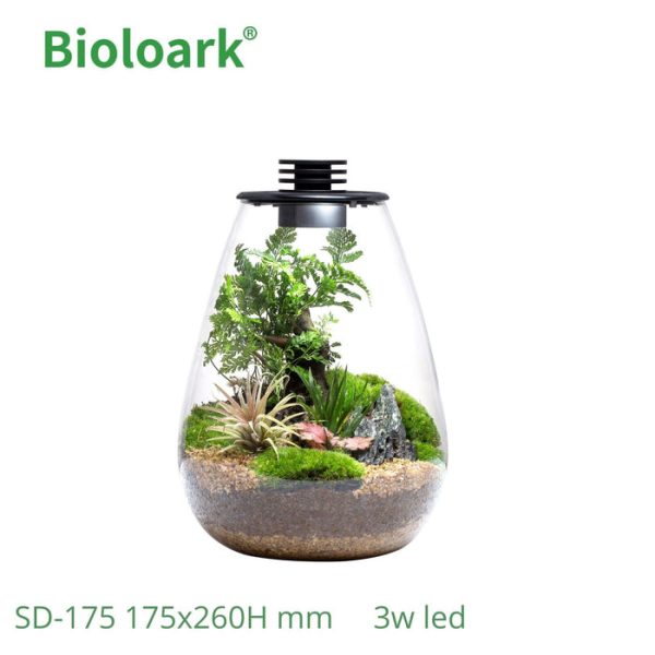 bioloark tear drop terrarium sd 175 sd 200 1 review 6368f47aa2b76