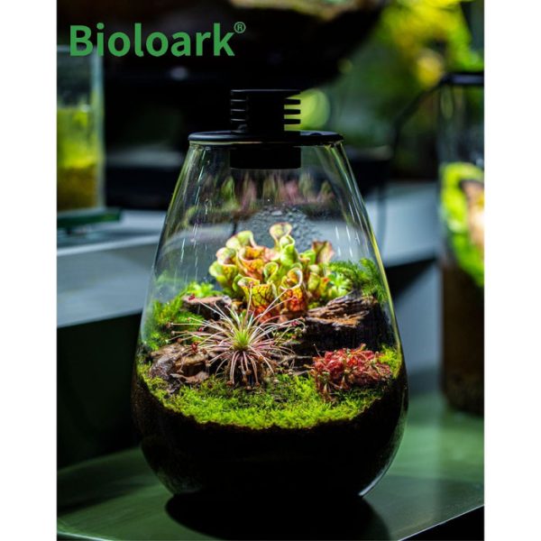 bioloark tear drop terrarium sd 175 sd 200 1 review 6368f47c4bd79