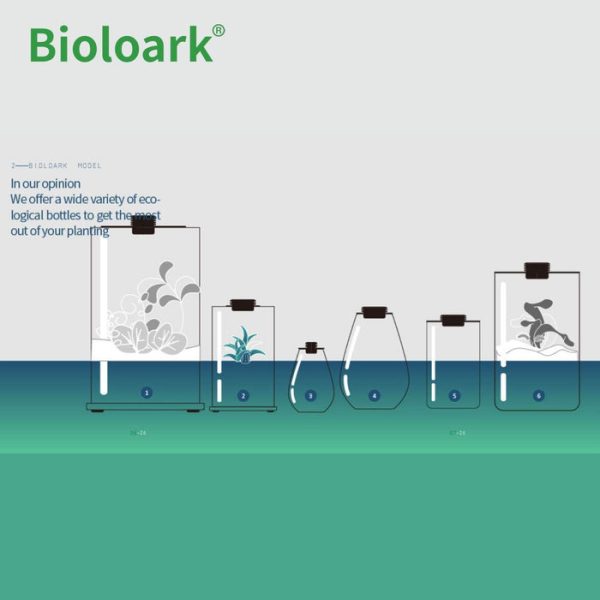 bioloark tear drop terrarium sd 175 sd 200 1 review 6368f47f3fa9f