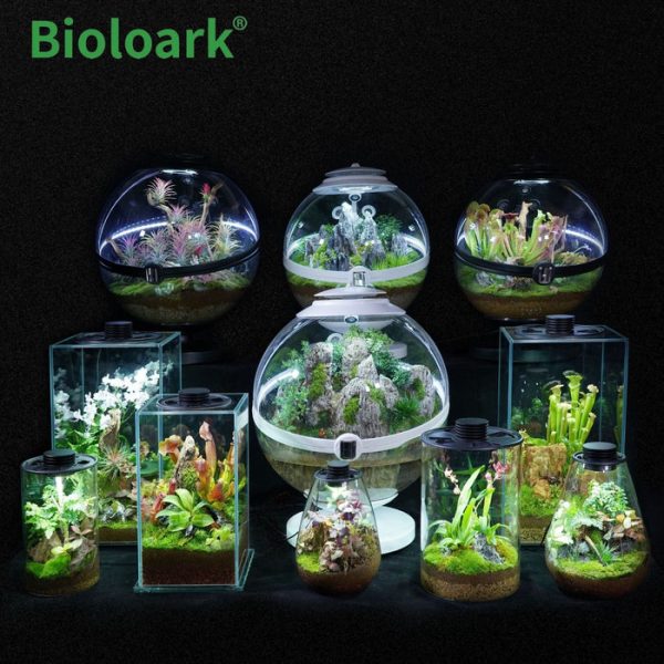 bioloark tear drop terrarium sd 175 sd 200 1 review 6368f47fe8554