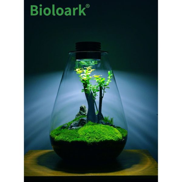 bioloark tear drop terrarium sd 175 sd 200 1 review 6368f480c32c0