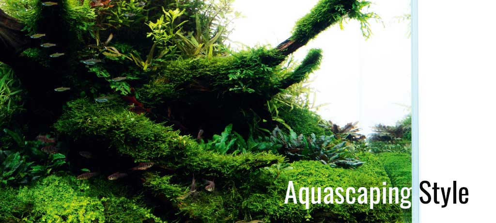 Aquascaping Style