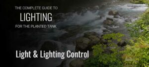 Planted Tank Light & Lighting-Control