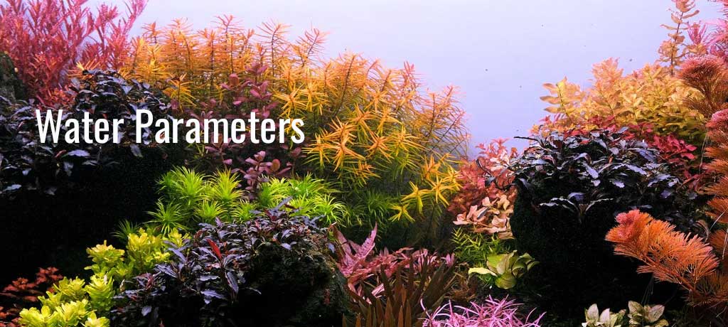 Ideal Water Parameters for Planted Tank
