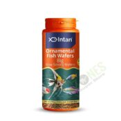 INTAN ORNAMENTAL FISH WAFERS