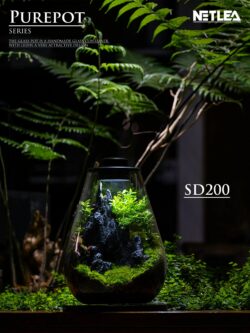 Terrarium éclairé Goutte S